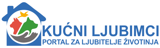 Kućni Ljubimci 8 Kućni Ljubimci