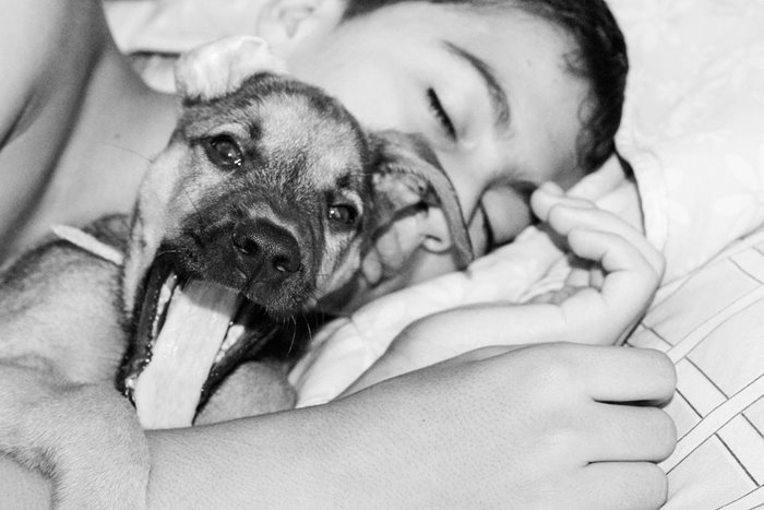 Kako Psi Pomažu Djeci S Autizmom? 1 Kako Psi Pomažu Djeci S Autizmom 02