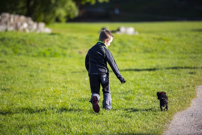 Kako Psi Pomažu Djeci S Autizmom? 3 Kako Psi Pomažu Djeci S Autizmom 03