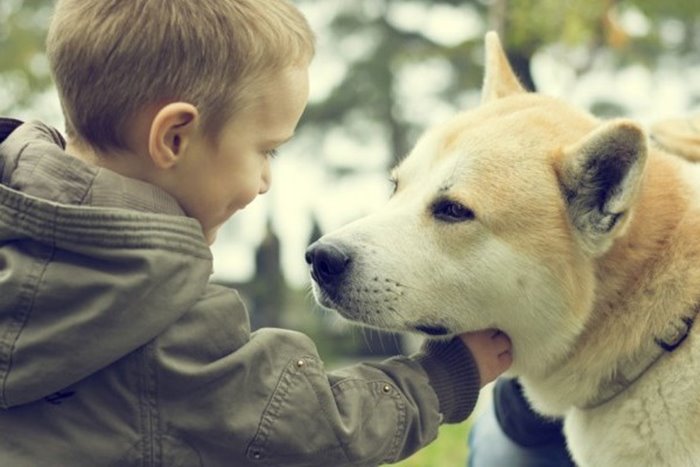 Kako Psi Pomažu Djeci S Autizmom? 2 Kako Psi Pomažu Djeci S Autizmom 04