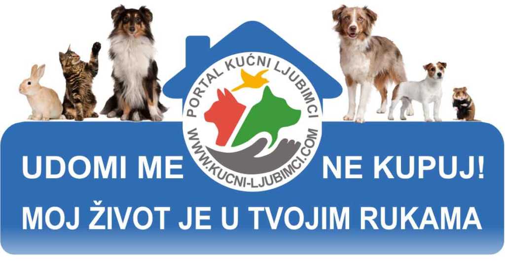 Kucni Ljubimci Udomi Me Cover
