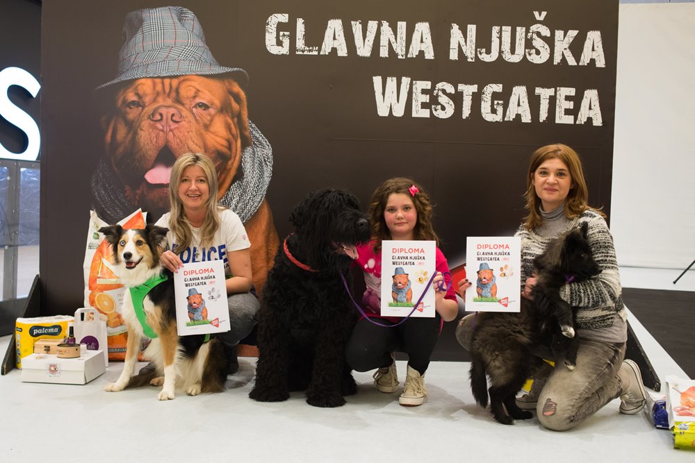 Kako Je Protekao 4. Sajam Kućnih Ljubimaca U West Gateu 1 Sajam Kućnih Ljubimaca West Gate3