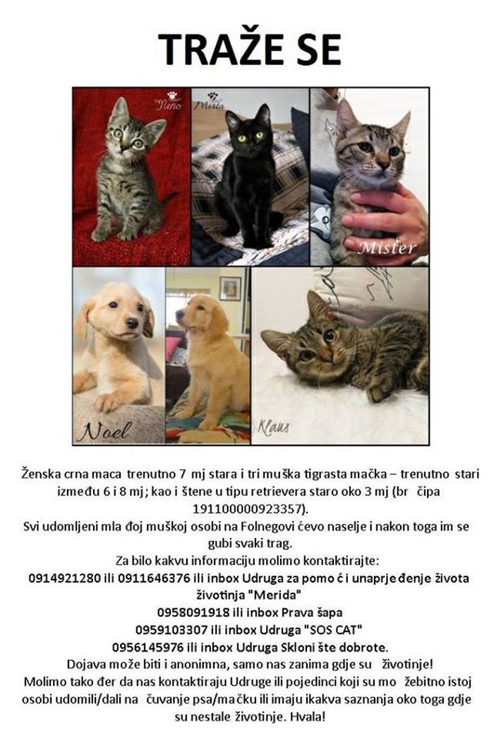 Lažni Udomitelj Iz Zagreba 1 Nestali Ljubimci Udruga Merida