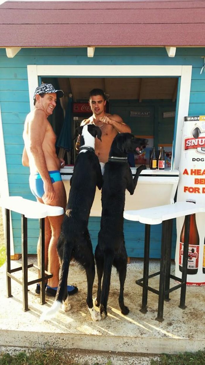 Montys Dog Beachbar 04
