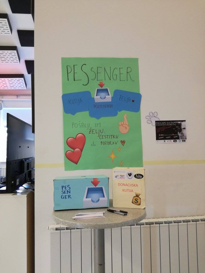 Humanitarna Izložba Pasa - Daj Capu Za Šapu 14 Daj Capu Za Sapu03