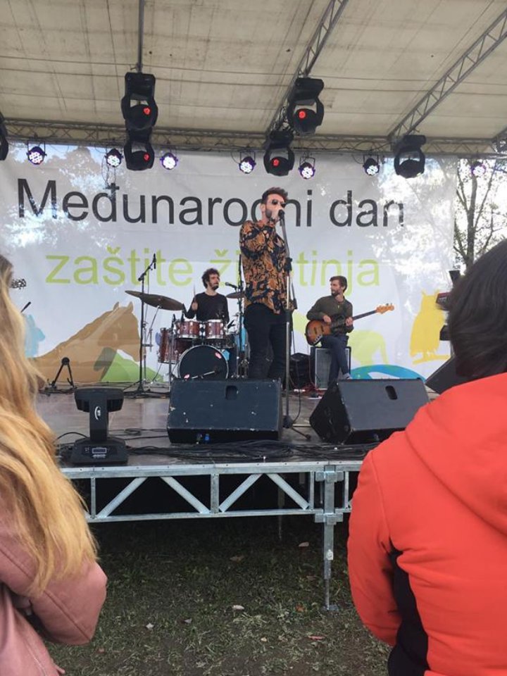 Danzastitezivotinja 05