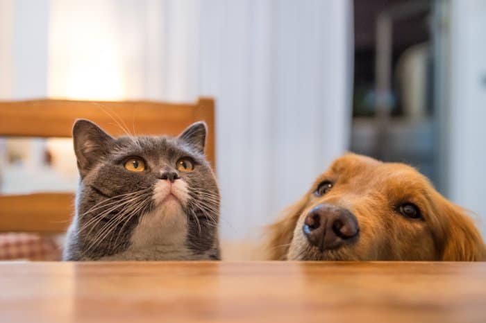 Thinkstockphotos 657695174 2