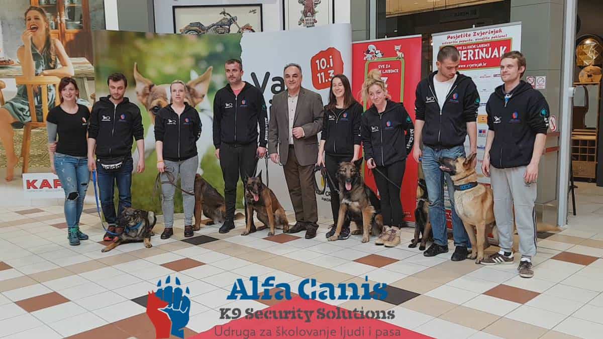 Alfa Canis