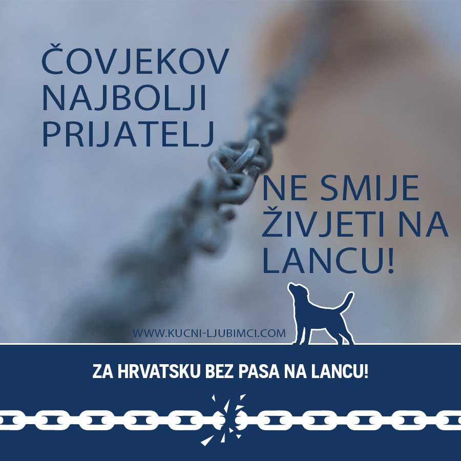 Ne Lancu Kucni Ljubimci 1